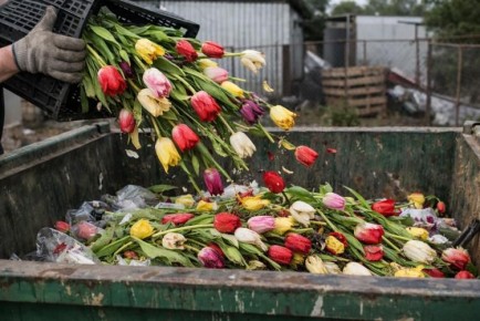 ���������������� ������ ��������� ������ ������ �� ����� �� �������������� ����� ������������