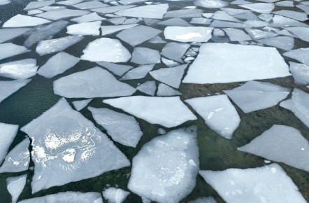 � ���������� ����������� ���� ����������� ��������� ��