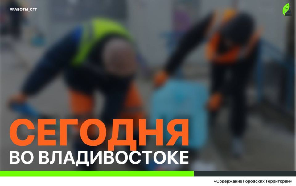 ������� �� ������������: ������ �� ���������� �����, ������ �������� ��������������, �������� �������� � ���������� ������