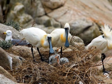 �� ������� ���������� � ����� ����� ������� ������ � ������� ��������� ������� ���������������� ��� ������ ���������������� �������� ����������� �� ����������� � ���������� �� ������� �������