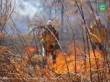 ������ ������� �������� � �������� �� ��������� �����