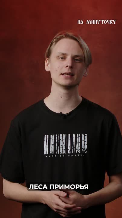 Приморцы с нуля осваивают профессию десантников-пожарных