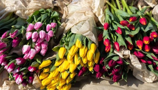 ������������� ������� ���������� ������� �� ������� �� �������