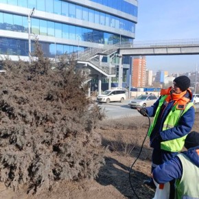 �� ������������ �������� ���������� ������ ��� � ������� ������