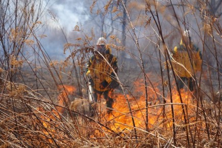 ������ ������� �������� � �������� �� ��������� �����