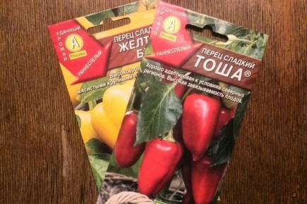 ��� �������� ������ ��� ����������� ������� �����