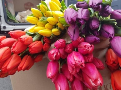 � ���������� 8 ����� �������� ��������� ��������� ����� �������� ������