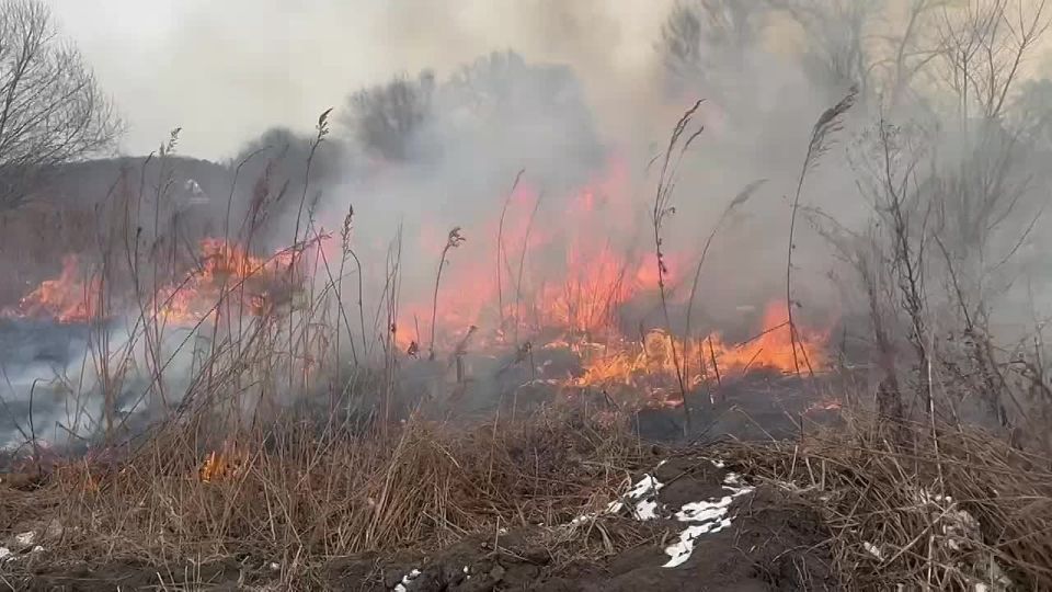 Плановые контролируемые отжиги продолжаются в Приморье