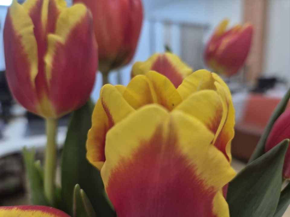 Что же подарить женщине на 8 марта?