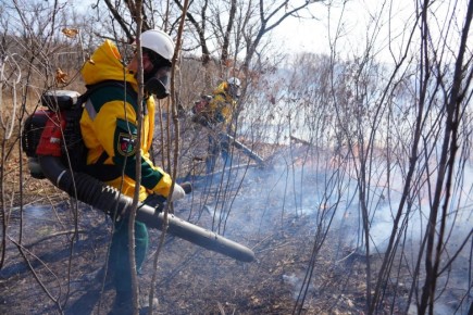 � ��������� ������ �������� �����, �������� �������� ���� �������