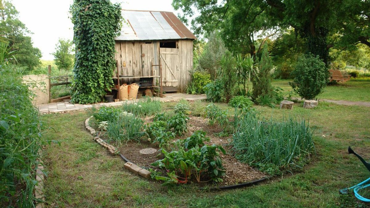 Как создать сад, который экономит воду