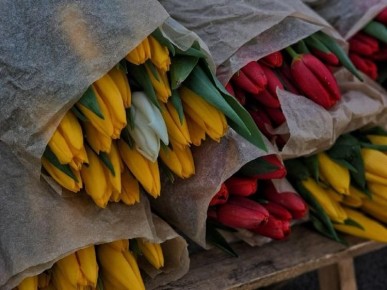 �������� 8 ����� ����� ������� ������ ����������, �������� ��������� �������� ����� ��������� ���������