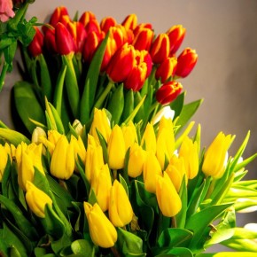 ������� ����: ������� ������� ������������ ���������� ������!