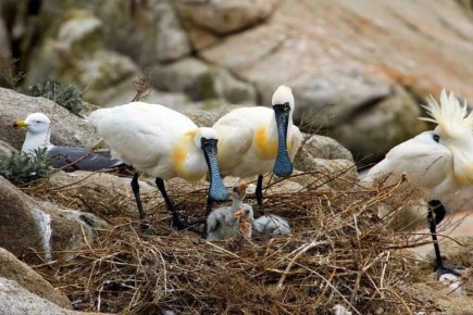 1 �� ������� ������� ������� �������� ��� ��� �����������