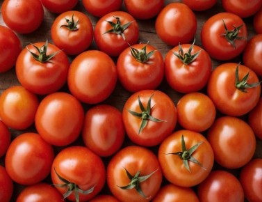 ����������� ����������� ���������������� ���������� ����������������� 28 ������� 2026 ���� �� ��������� ���� ������ ������� �� ����� ��-�� ����������� � ��� ������ ���������� ������������� ������ ������ (Tomato brown rugose...