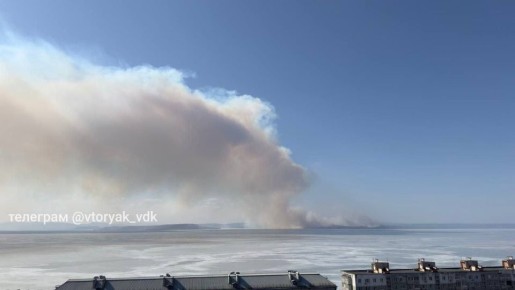 Пал сухой растительности виден из Владивостока через Амурский залив