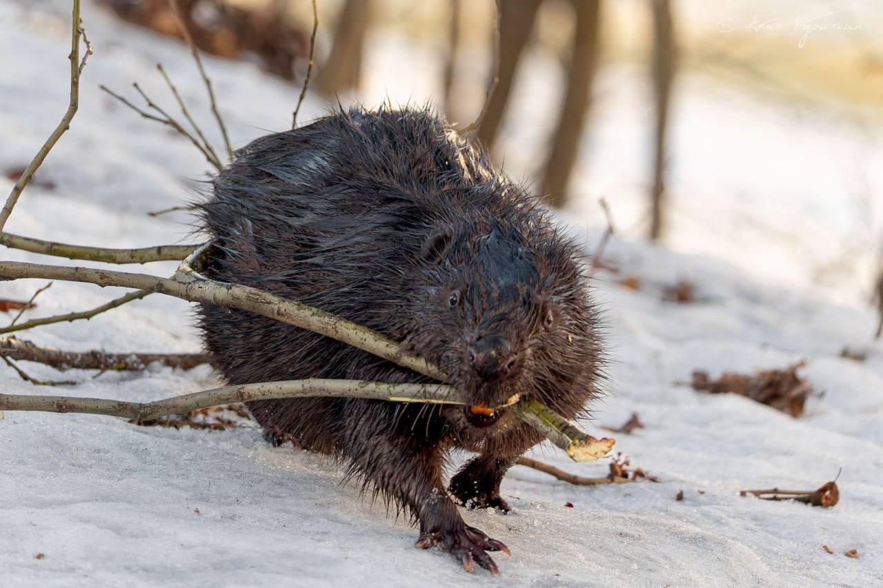 #* Подборка интересных новостей из регионов к этому часу #* Подборка интересных новостей из регионов к этому часу