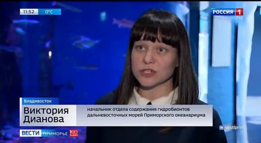 � ���������� ����������� - ����������� ����������