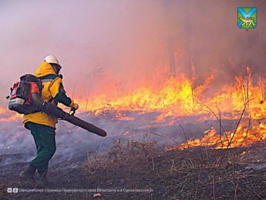 ������ ������� �������� � �������� �� ��������� �����