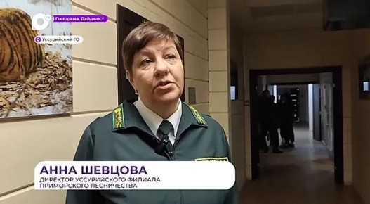 � ����������� ����������� ������� ������� ���������� ���� ��� ����������