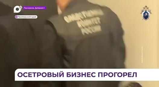 � �������� �������� ����������� �������� ������� �����