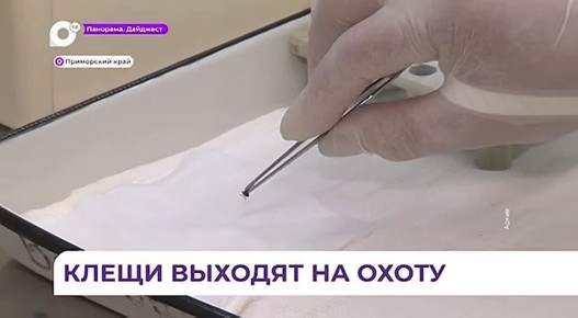 ����� ���������� ������ ��������� � ��������