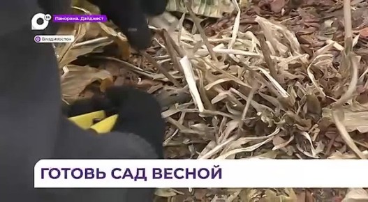 � �������� ������� �������� ���������� � ������-���������� ������