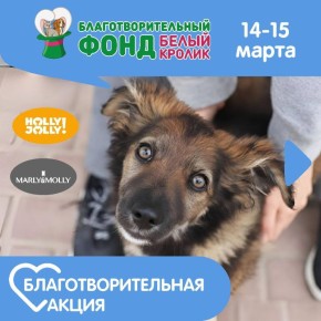 ������, ��������� ������� ��� ���� �������������