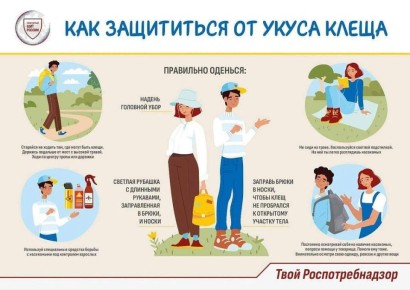 Приморцам рассказали, как уберечься от укуса клеща и заражения энцефалитом