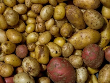 ������������ ����: ��� ������� ������ ����� ��� ����