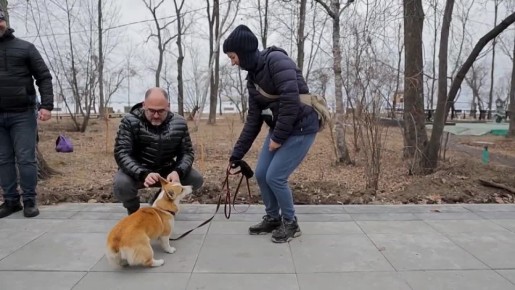 � ����� ����� ������ ���� ������������ ����� ���� ���������������