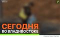 Сегодня во Владивостоке: работы на инженерных сетях, ремонт дорожной инфраструктуры, демонтаж объектов и санитарная уборка
