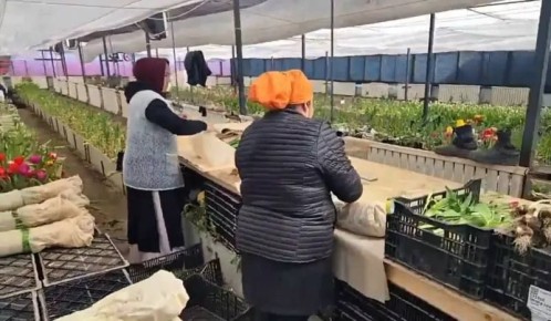 � ������ ����������� ���� ����������� ��������� � ��������������� ���������-���������, ��������� �������������� �������� ������������