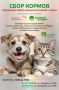 21 и 22 марта во Владивостоке пройдет тёплая благотворительная акция - сбор кормов и мини-выставки-раздачи котиков и собак