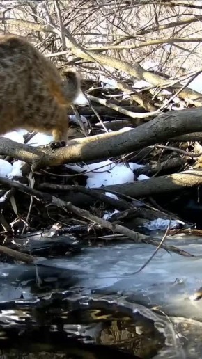 ������ ��� �������� ������ ����� ����� �� ����� � ����� � � ��� ������ �� �����