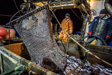 ������������ ������-2026: � ������ ���� ��������������� ������ ������ ����� 670 ���