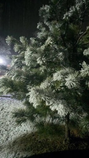 ���� �� ������ �������� ��������