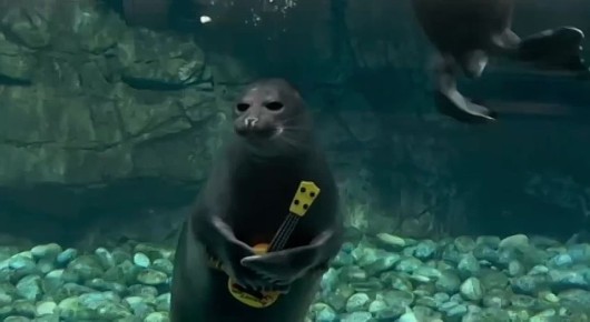 ����� ����� ������� ���. ����� �� ����������� ����������� �������� ������ ������� � ����� �������� 10-�����