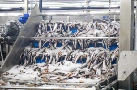 ��������������� ������ ������� ����� 700 ����� ���� ������ � ������ ����