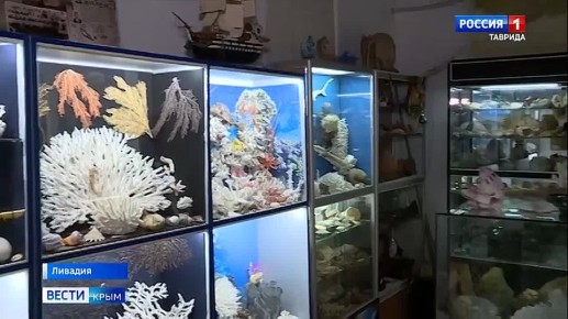 В Крыму обнаружили уникальную находку — коралл-мозговик возрастом 160 миллионов лет