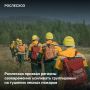 За прошедшие сутки в России потушено 4 лесных пожара на площади 134 га