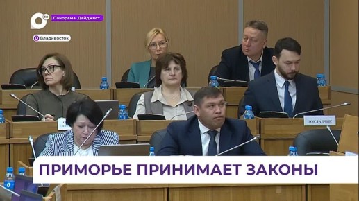 Приморский парламент рассмотрел вопросы, связанные с поддержкой участников СВО