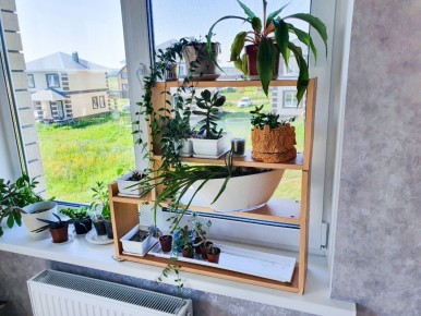 �����, ������� ������� ������� �����: ��� ��������� �������� � ���������� ��������