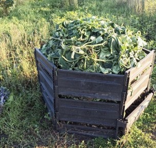 �������: ��� ������� ����������� ��������� ��� ������