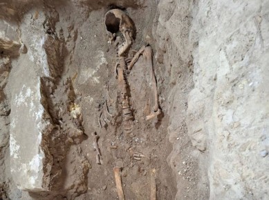 Скелет д’Артаньяна, вероятно, обнаружили в Нидерландах