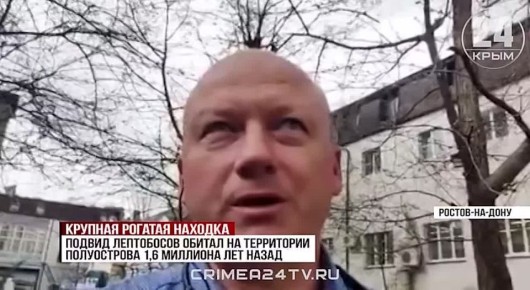 В Крыму обнаружили кости древнего быка