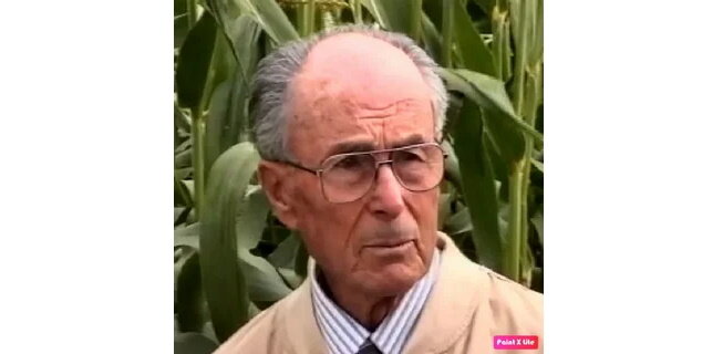 Миттлайдер: революция в огородничестве или маркетинговый трюк?