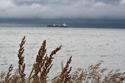 ������ �������� ����� � ��������: ����