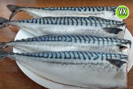 ��� ������ � ������ ����������� ��������: ��� ������� �������