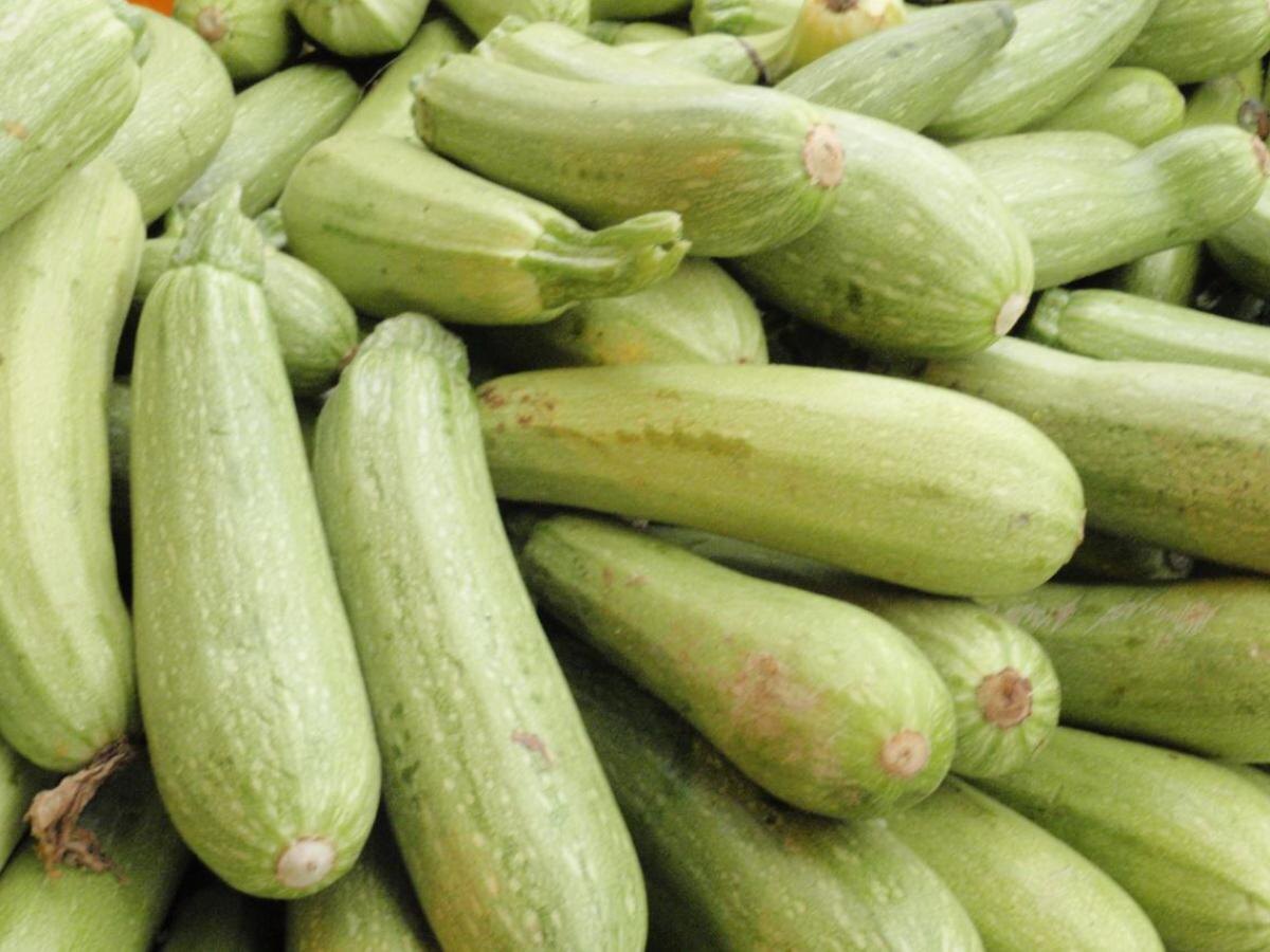 Кабачки, которые привлекут внимание на даче